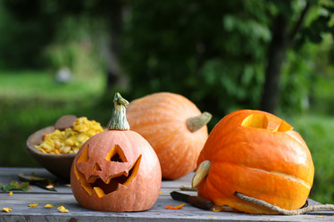 Similar image 13274623