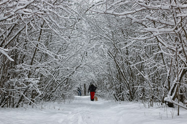 Similar image 13274701