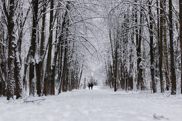 Similar image 13274819