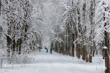 Similar image 13274918