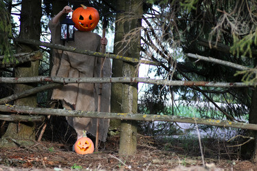 Similar image 13275129