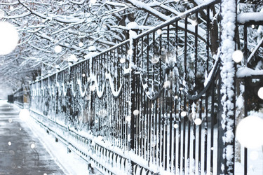 Similar image 13276554