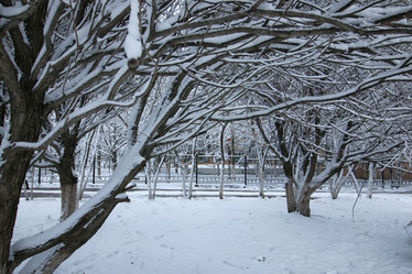 Similar image 13278081