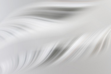 Similar image 13278192