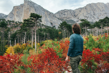 Similar image 13254065