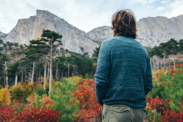 Similar image 13254066