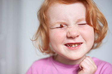 Similar image 13269999