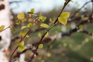 Similar image 13274982