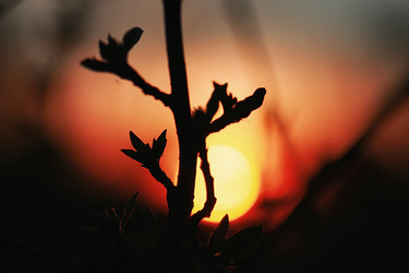 Similar image 13275674