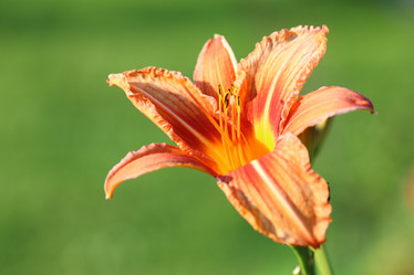 Similar image 13275303