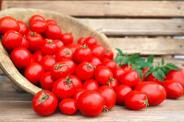 Similar image 13274624