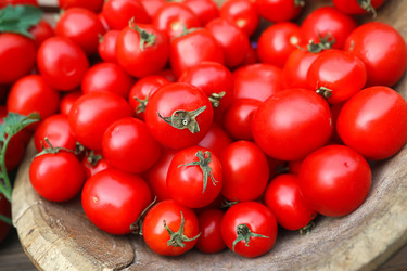 Similar image 13274663