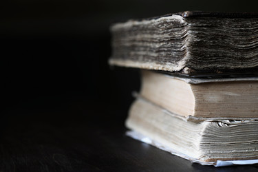 Similar image 13275755