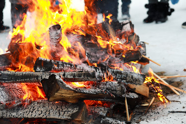 Similar image 13278029