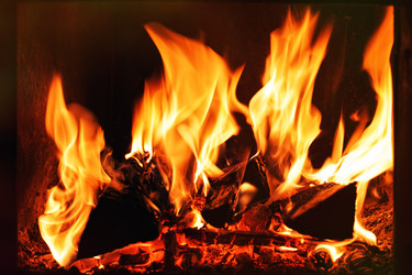 Similar image 13254294