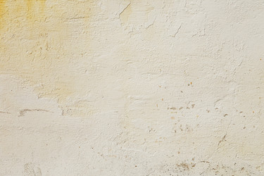 Similar image 13254297