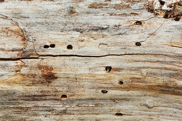 Similar image 13254298