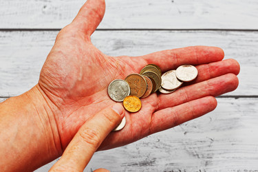 Similar image 13254305