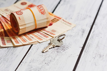 Similar image 13254336