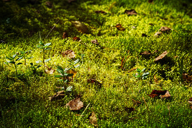 Similar image 13254339