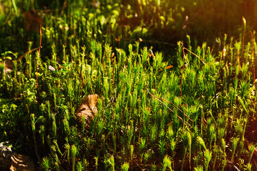 Similar image 13254342