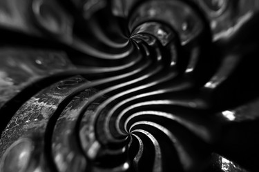 Similar image 13274823