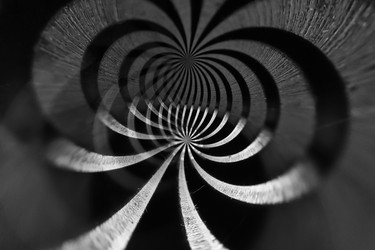 Similar image 13274967