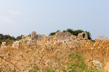 Similar image 13275516