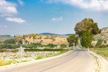 Similar image 13275518