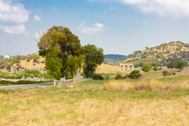 Similar image 13275520