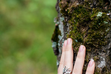 Similar image 13260791