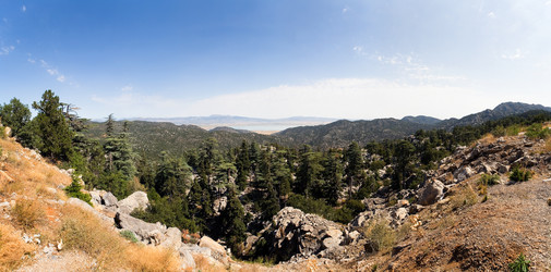 Similar image 13274469