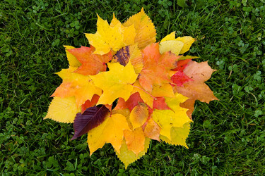 Similar image 13274492