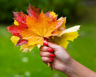 Similar image 13274494