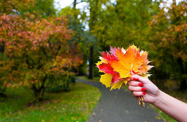 Similar image 13274495