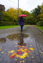 Similar image 13274497