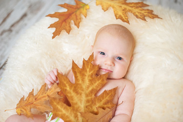 Similar image 13269959