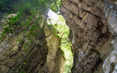 Similar image 13277250