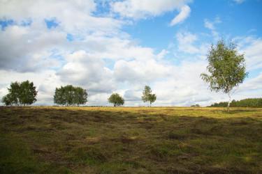 Similar image 13277253