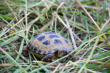 Similar image 13277255