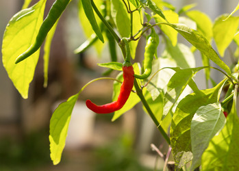 Similar image 13277257