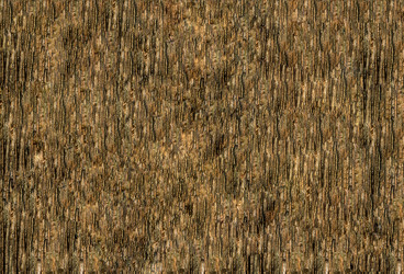 Similar image 13277441