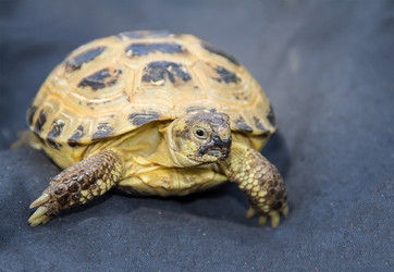 Similar image 13277259