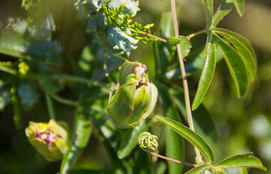 Similar image 13277261