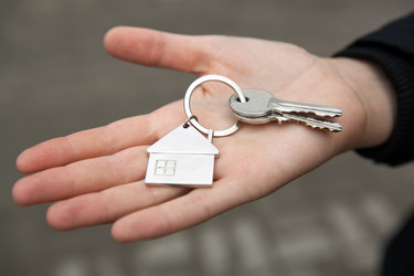 Similar image 13263527