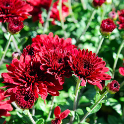 Similar image 13271301