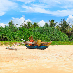 Similar image 13271308