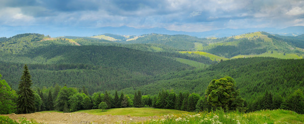 Similar image 13271315