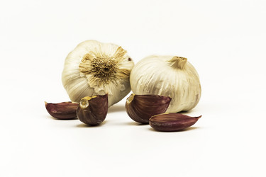 Similar image 13268899