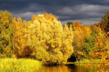 Similar image 13264283